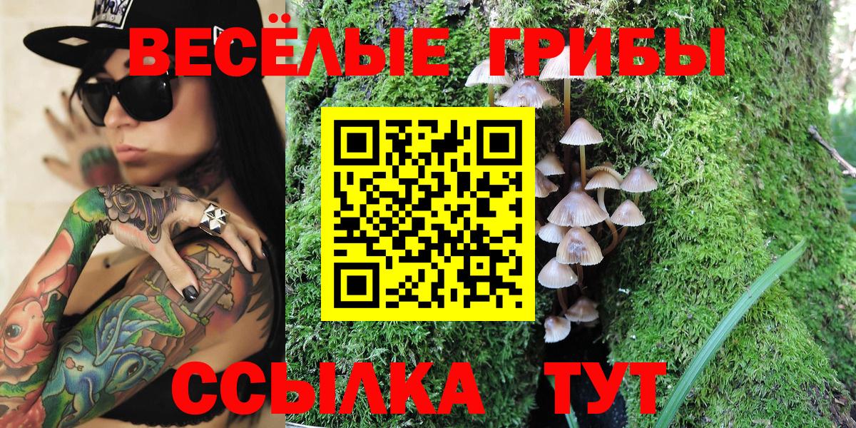 Нижневартовск  Галлюциногенные грибы Cubensis  Вход с VPN  Псилоцибиновые грибы GOLDEN TEACHER 